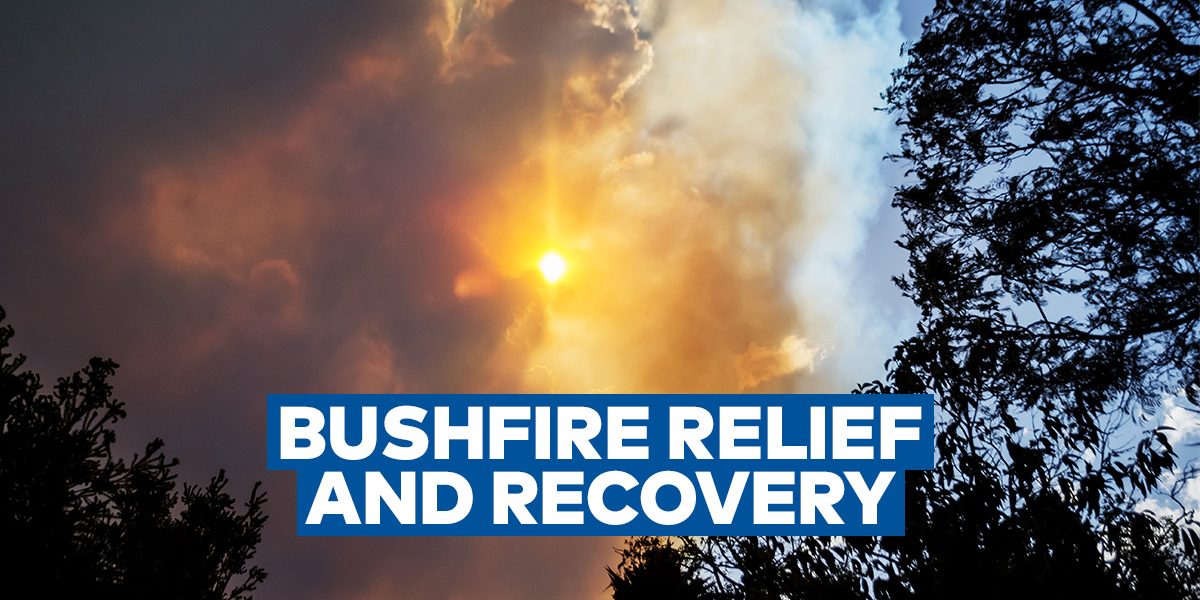bushfire-relief-OG